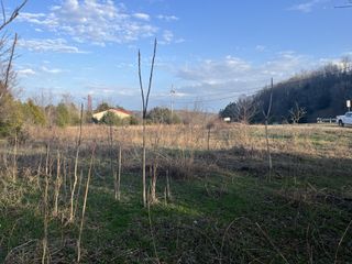 0 Hwy 64 W, Pulaski, TN 38478