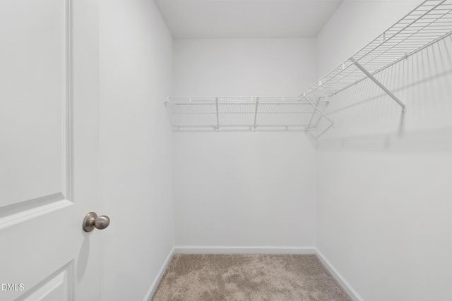 3086 Spline Circle, Raleigh, NC 27610