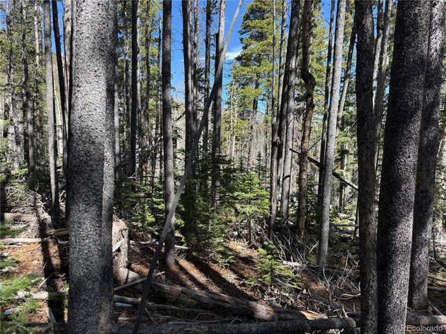 3408 Drexler Pl, Fort Garland, CO 81133