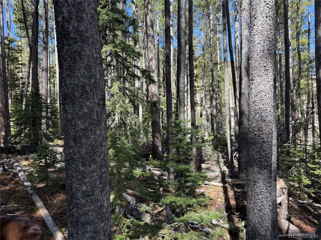 3408 Drexler Pl, Fort Garland, CO 81133