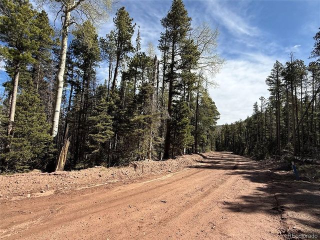 3408 Drexler Pl, Fort Garland, CO 81133