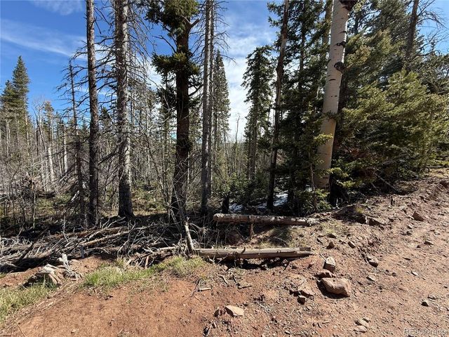 3408 Drexler Pl, Fort Garland, CO 81133