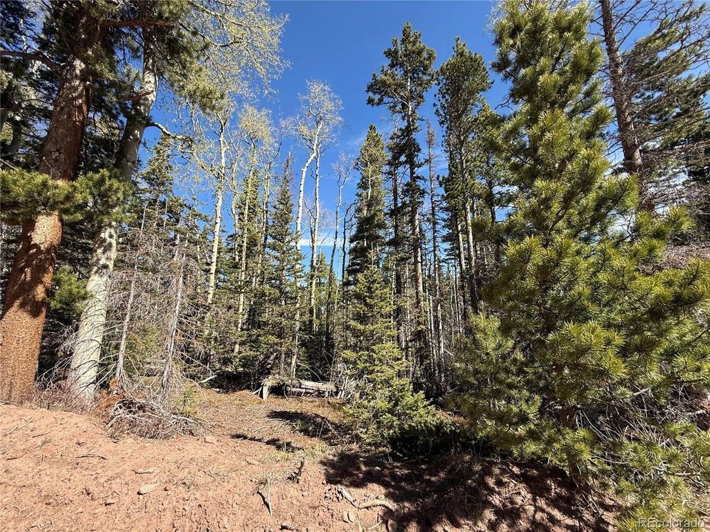 3408 Drexler Pl, Fort Garland, CO 81133