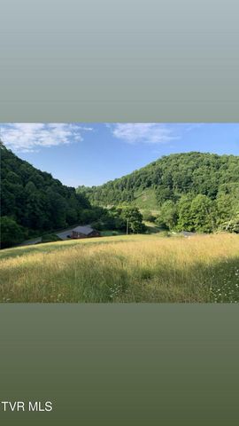 73 Fork Ridge Road, Lebanon, VA 24266