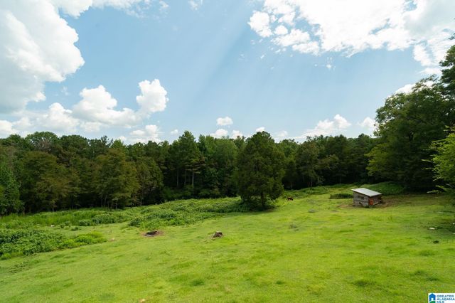 367 KANASITA DRIVE, Pell City, AL 35128