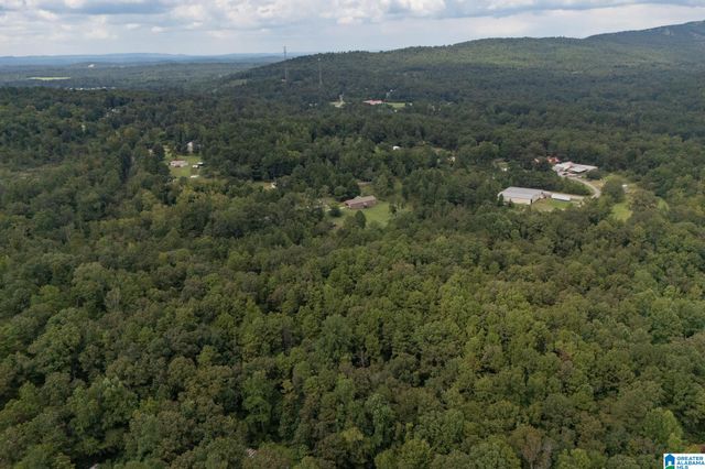 367 KANASITA DRIVE, Pell City, AL 35128