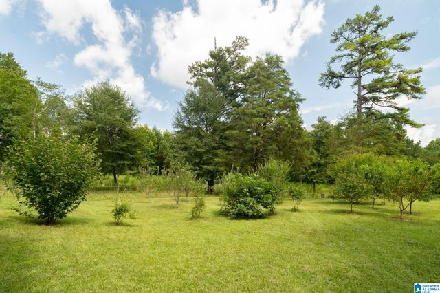 367 KANASITA DRIVE, Pell City, AL 35128