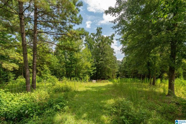 367 KANASITA DRIVE, Pell City, AL 35128