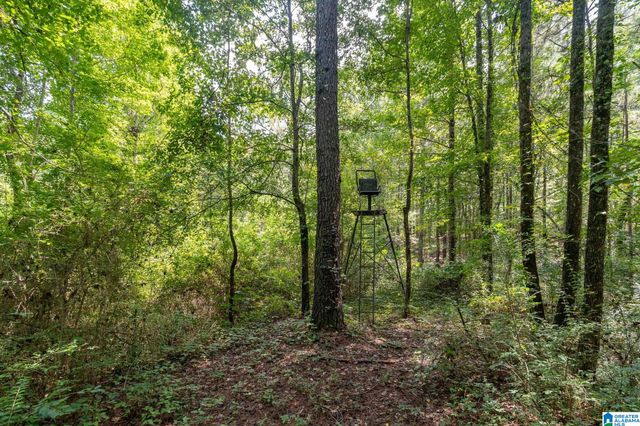 367 KANASITA DRIVE, Pell City, AL 35128