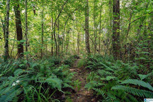 367 KANASITA DRIVE, Pell City, AL 35128