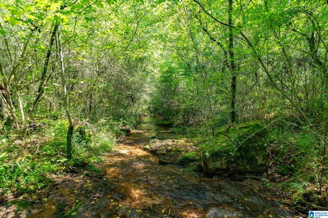 367 KANASITA DRIVE, Pell City, AL 35128