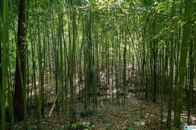 367 KANASITA DRIVE, Pell City, AL 35128