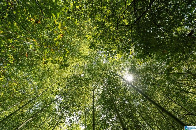 367 KANASITA DRIVE, Pell City, AL 35128