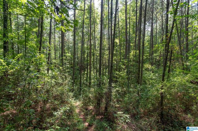 367 KANASITA DRIVE, Pell City, AL 35128