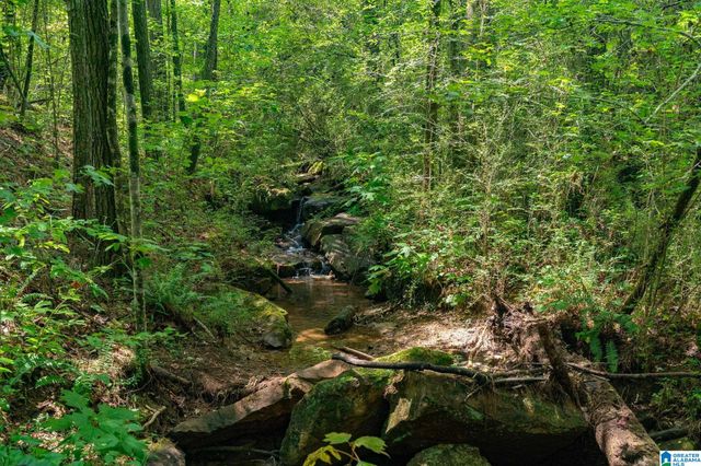 367 KANASITA DRIVE, Pell City, AL 35128