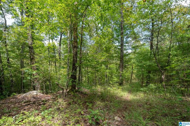 367 KANASITA DRIVE, Pell City, AL 35128