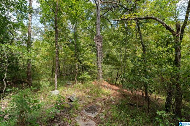 367 KANASITA DRIVE, Pell City, AL 35128