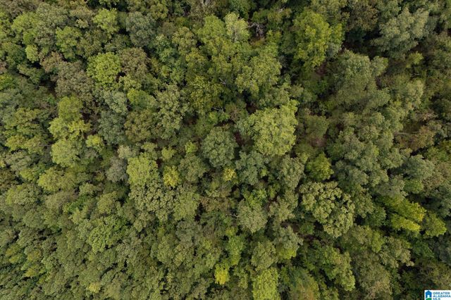 367 KANASITA DRIVE, Pell City, AL 35128