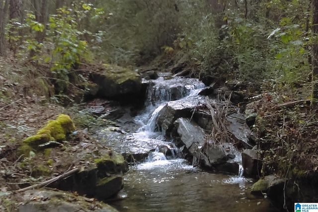 367 KANASITA DRIVE, Pell City, AL 35128