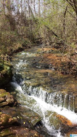 367 KANASITA DRIVE, Pell City, AL 35128