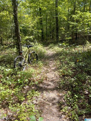 367 KANASITA DRIVE, Pell City, AL 35128