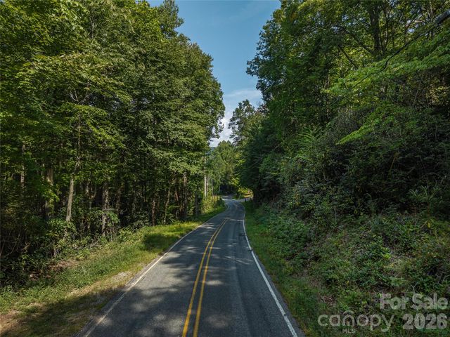 99999 Saw Branch Road, Candler, NC 28715