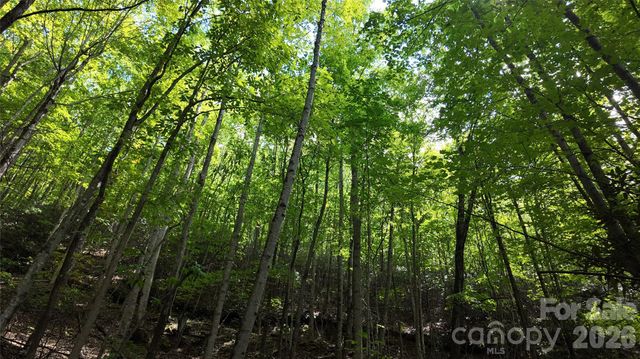 99999 Saw Branch Road, Candler, NC 28715