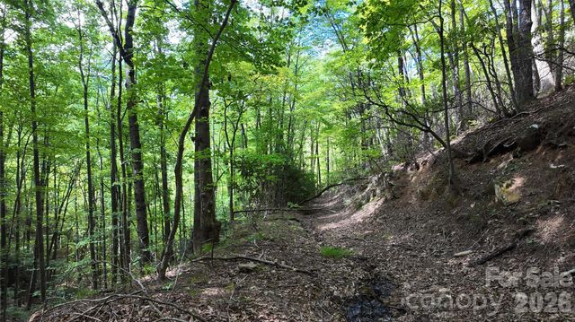 99999 Saw Branch Road, Candler, NC 28715