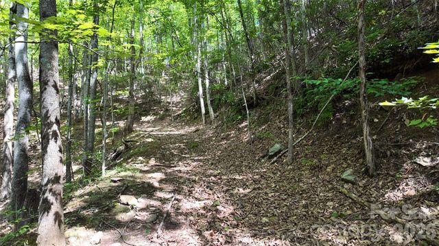 99999 Saw Branch Road, Candler, NC 28715