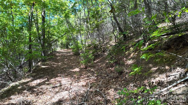 99999 Saw Branch Road, Candler, NC 28715