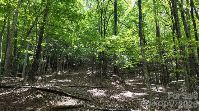 99999 Saw Branch Road, Candler, NC 28715
