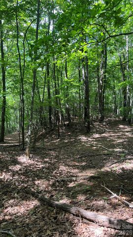 99999 Saw Branch Road, Candler, NC 28715