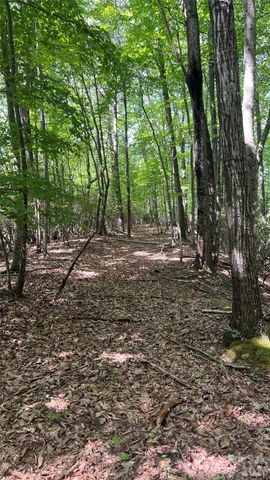 99999 Saw Branch Road, Candler, NC 28715