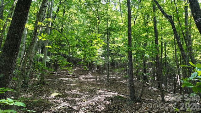 99999 Saw Branch Road, Candler, NC 28715