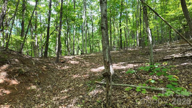 99999 Saw Branch Road, Candler, NC 28715