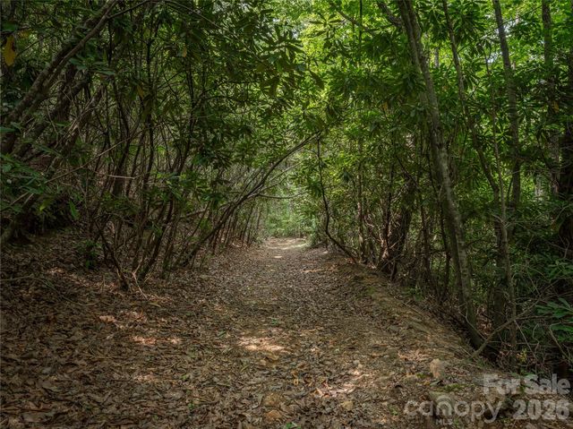 99999 Saw Branch Road, Candler, NC 28715