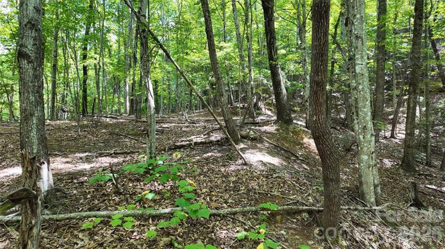 99999 Saw Branch Road, Candler, NC 28715