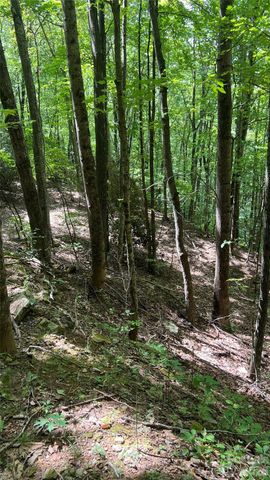 99999 Saw Branch Road, Candler, NC 28715