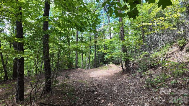 99999 Saw Branch Road, Candler, NC 28715