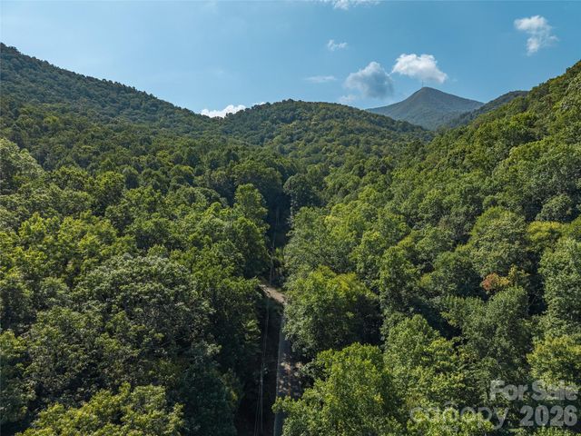 99999 Saw Branch Road, Candler, NC 28715