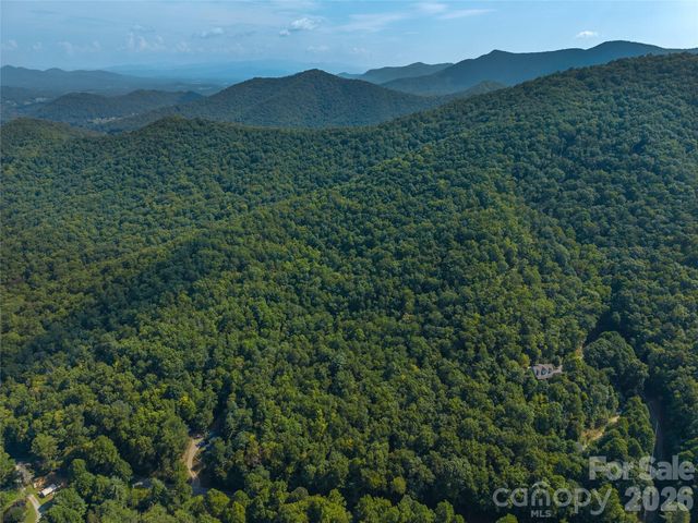 99999 Saw Branch Road, Candler, NC 28715