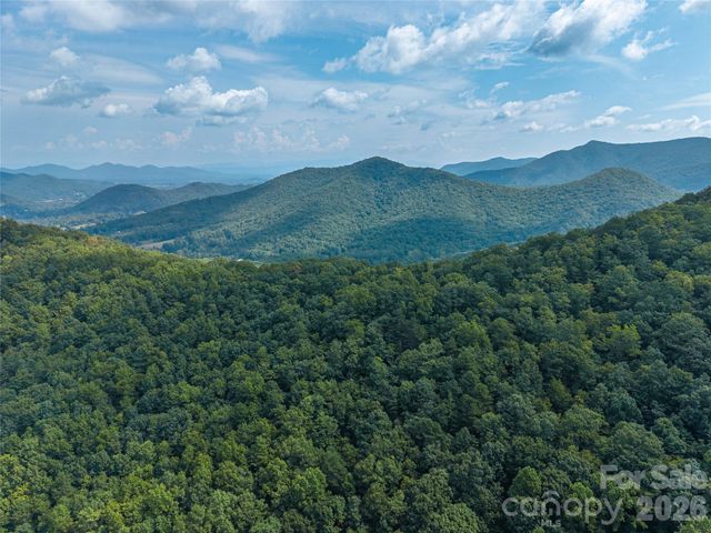 99999 Saw Branch Road, Candler, NC 28715