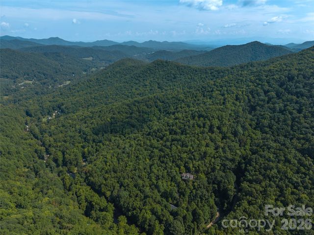99999 Saw Branch Road, Candler, NC 28715