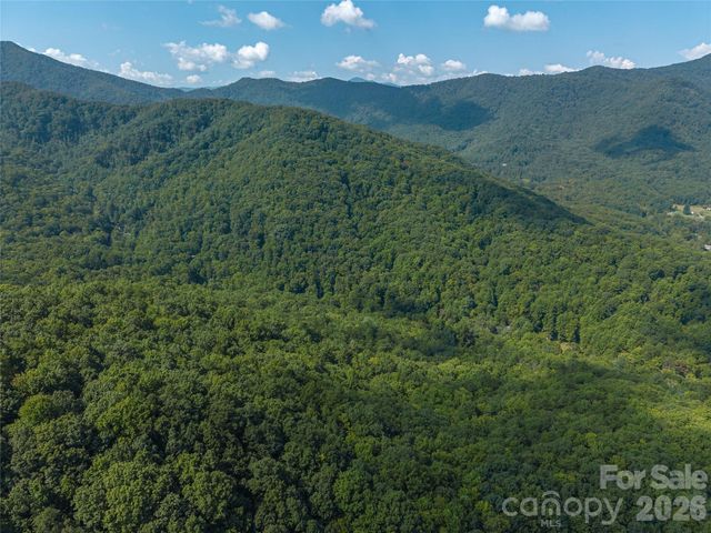 99999 Saw Branch Road, Candler, NC 28715
