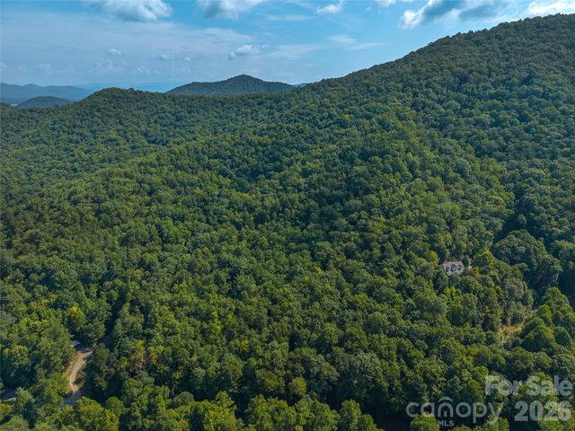 99999 Saw Branch Road, Candler, NC 28715