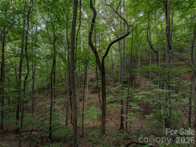 99999 Saw Branch Road, Candler, NC 28715