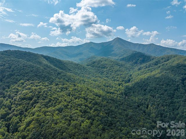 99999 Saw Branch Road, Candler, NC 28715