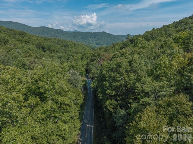 99999 Saw Branch Road, Candler, NC 28715