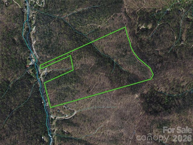99999 Saw Branch Road, Candler, NC 28715