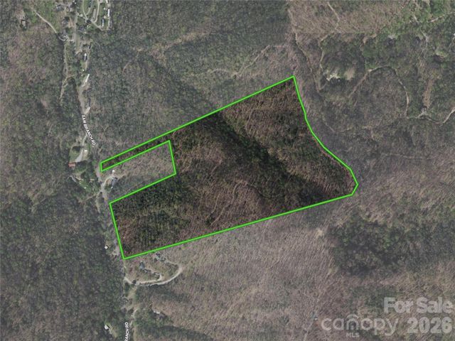 99999 Saw Branch Road, Candler, NC 28715